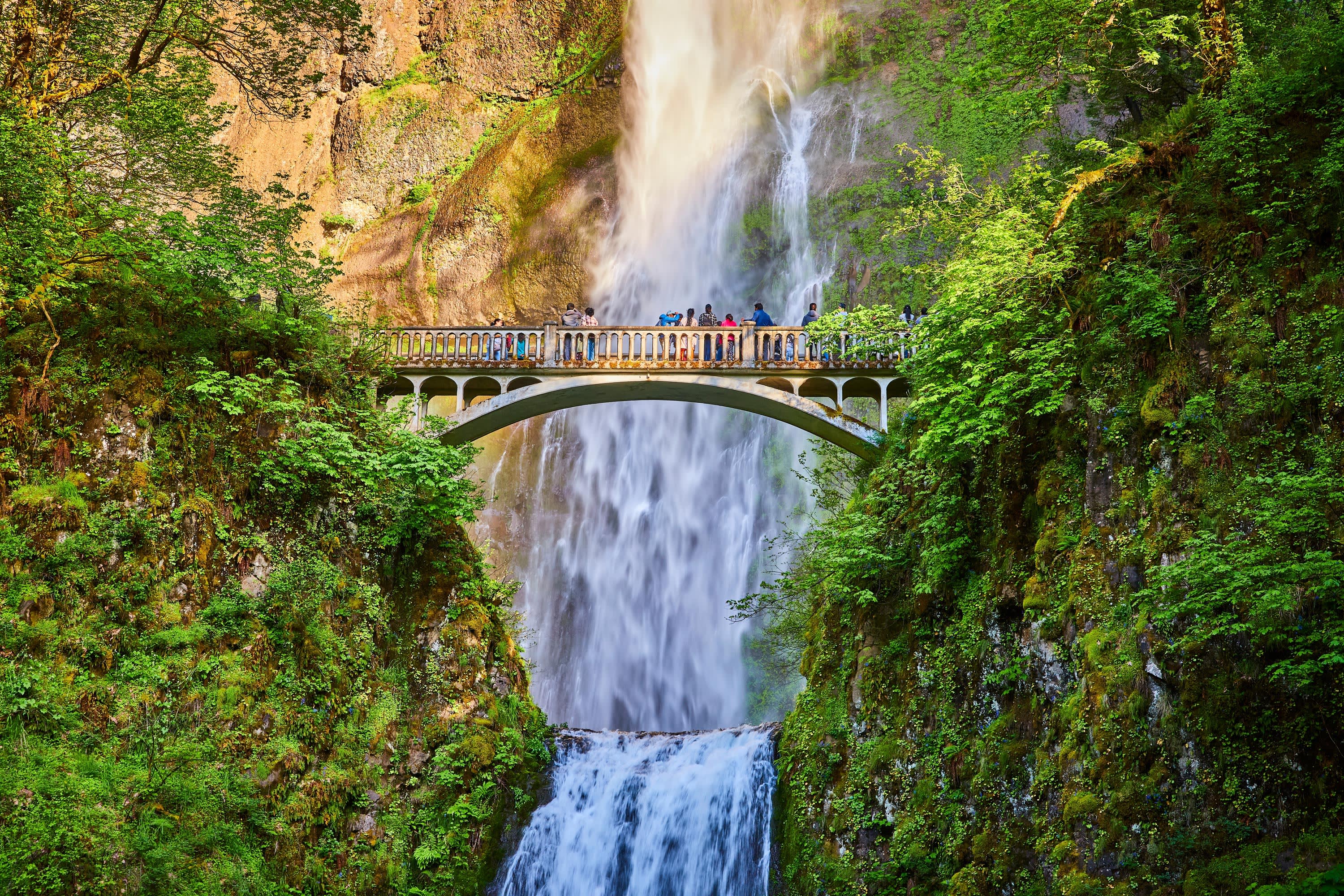 Sights of The Pacific Northwest