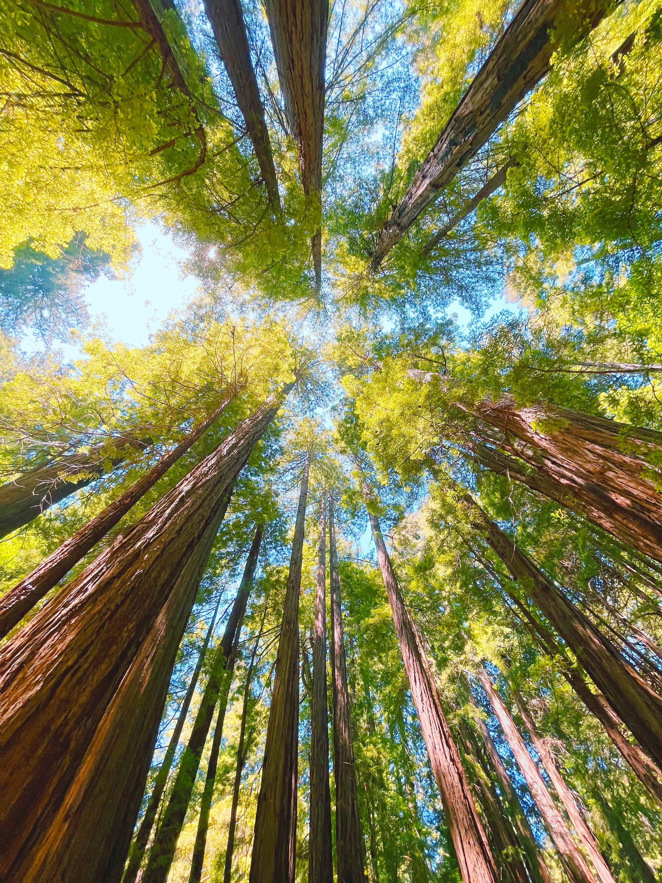 Sights of The Pacific Northwest