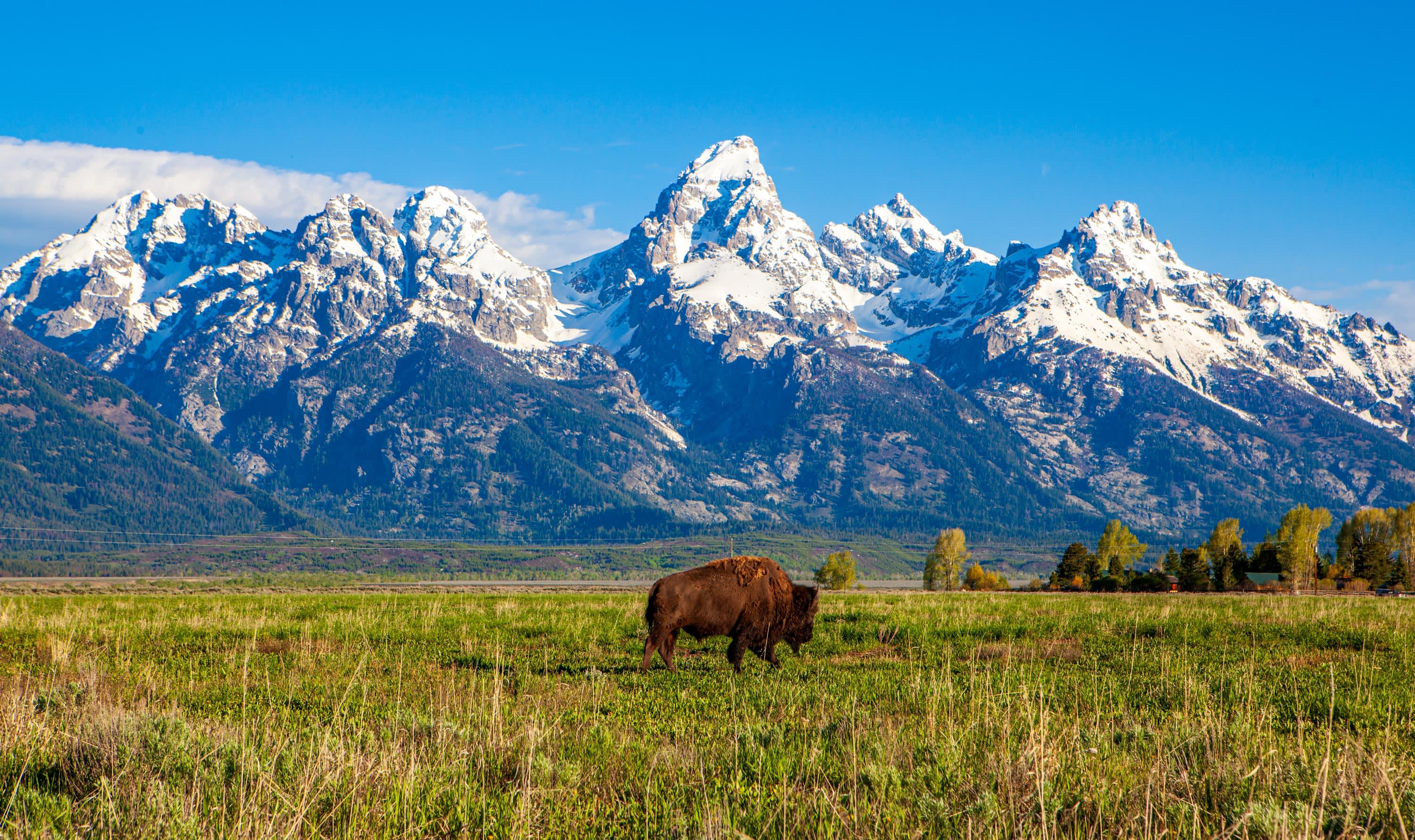 Rocky Mountains & Black Hills National Parks Tour