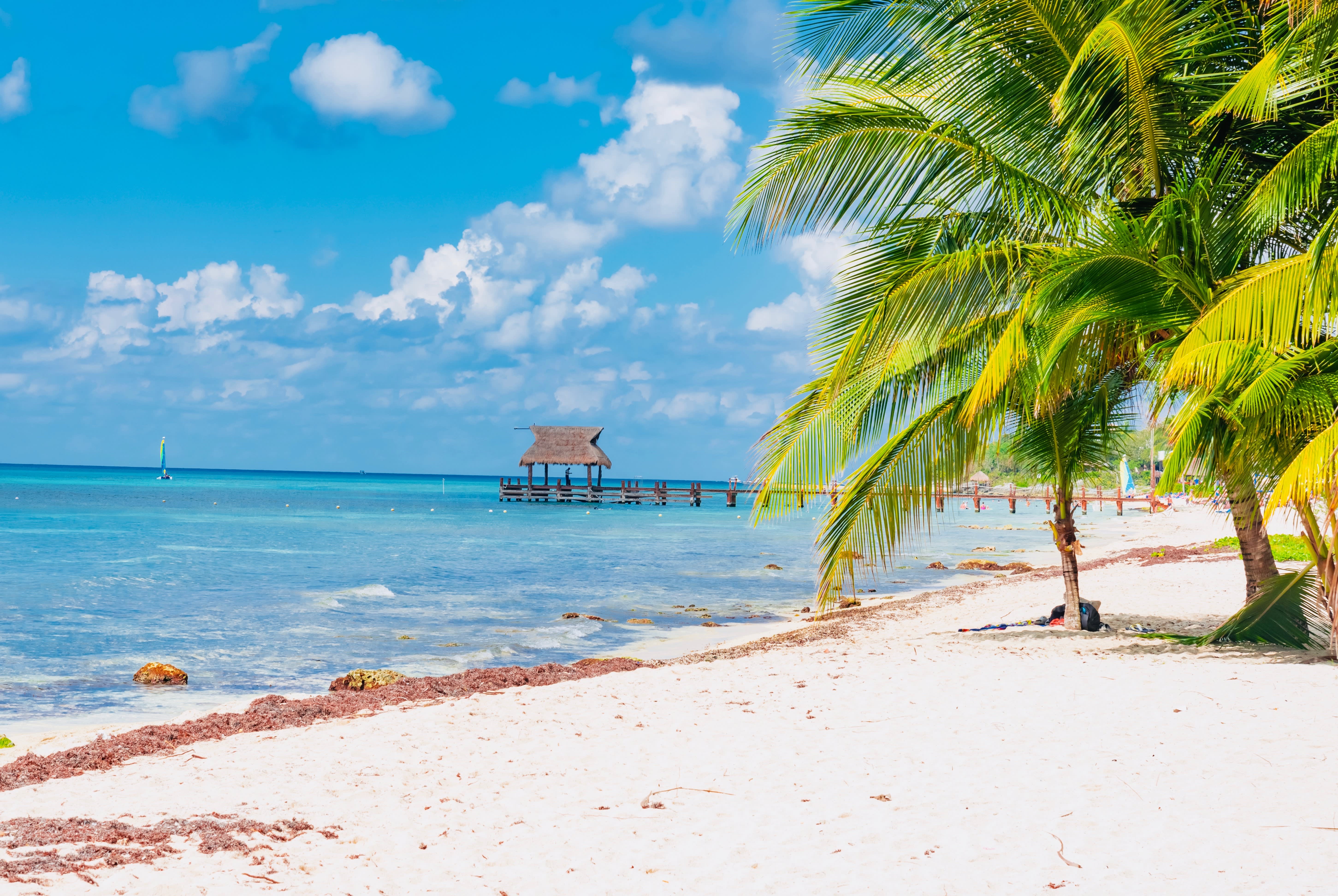 New Orleans & Western Caribbean Cruise