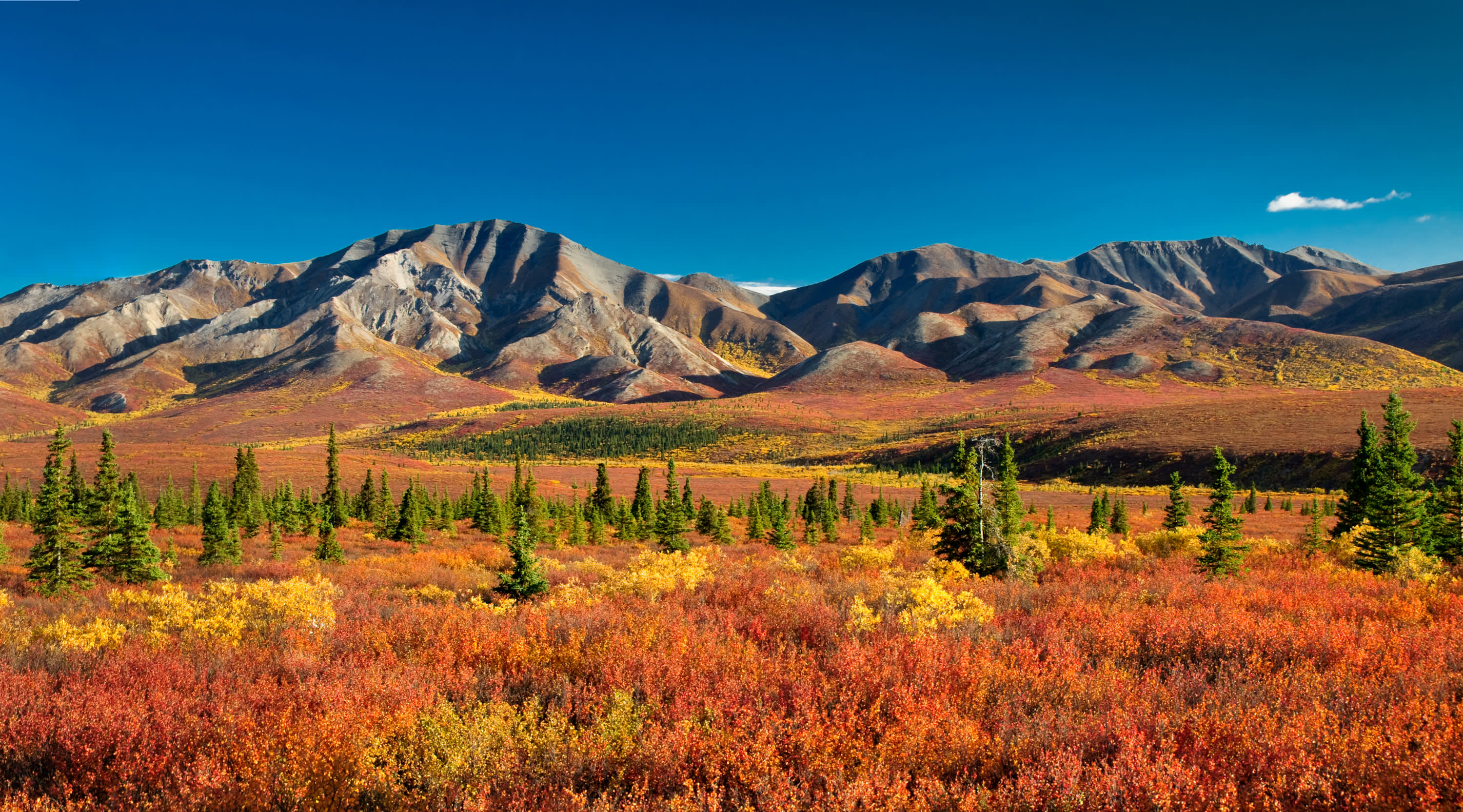 Majestic Alaska Cruise & Tour