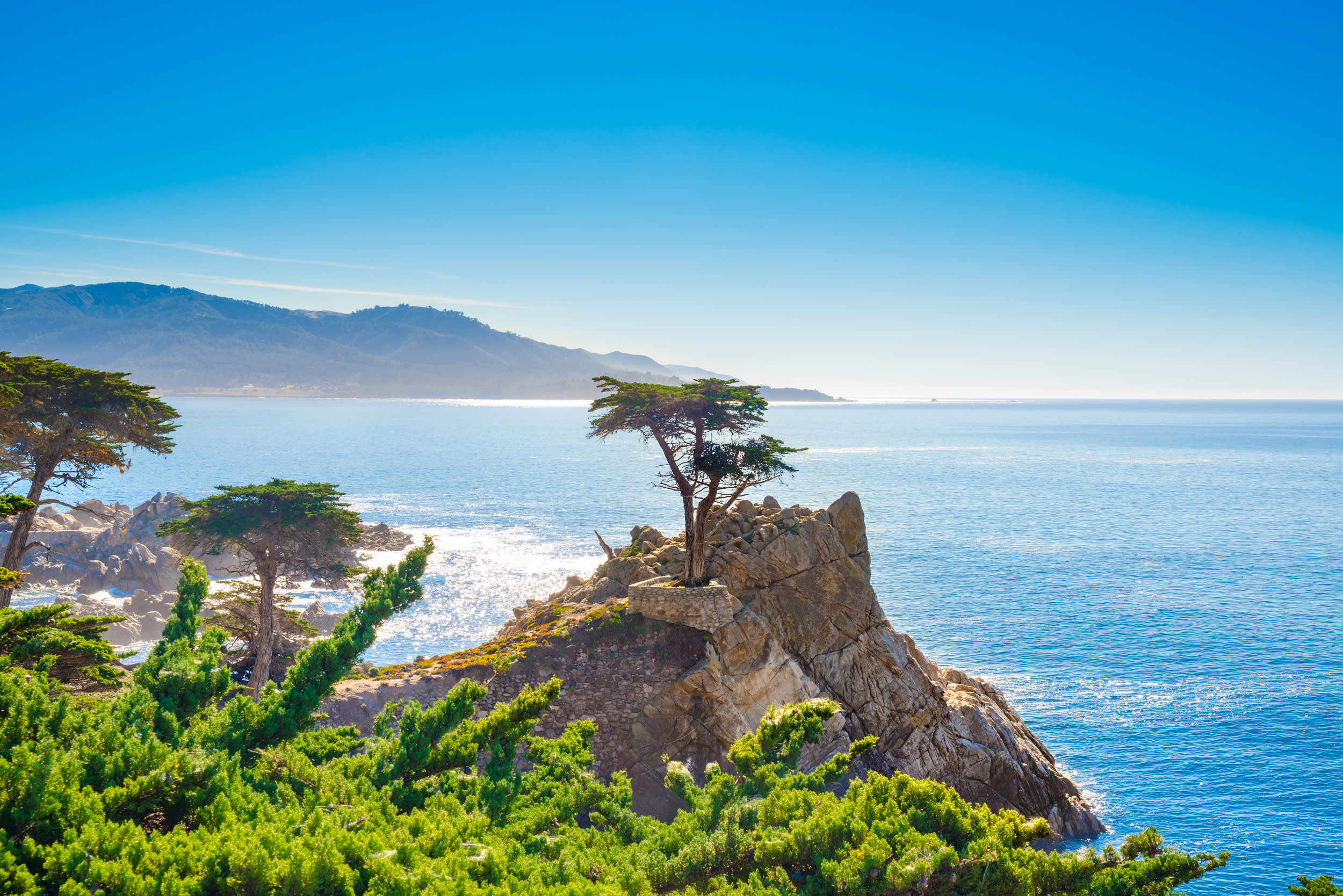 The Lone Cypress, seen from the 17 Mile Drive, in Pebble Beach, California