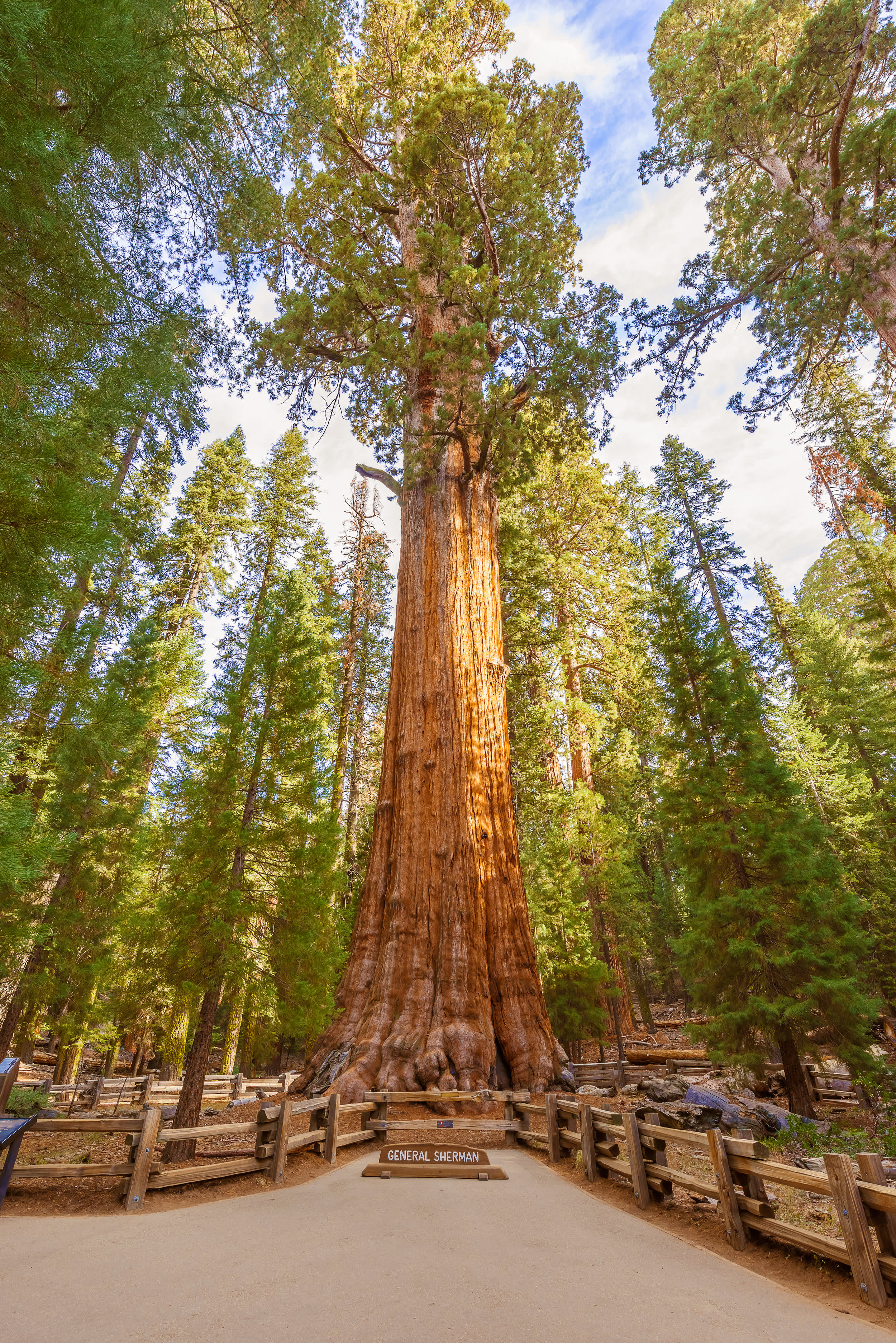 Ultimate Pacific Northwest & California Tour