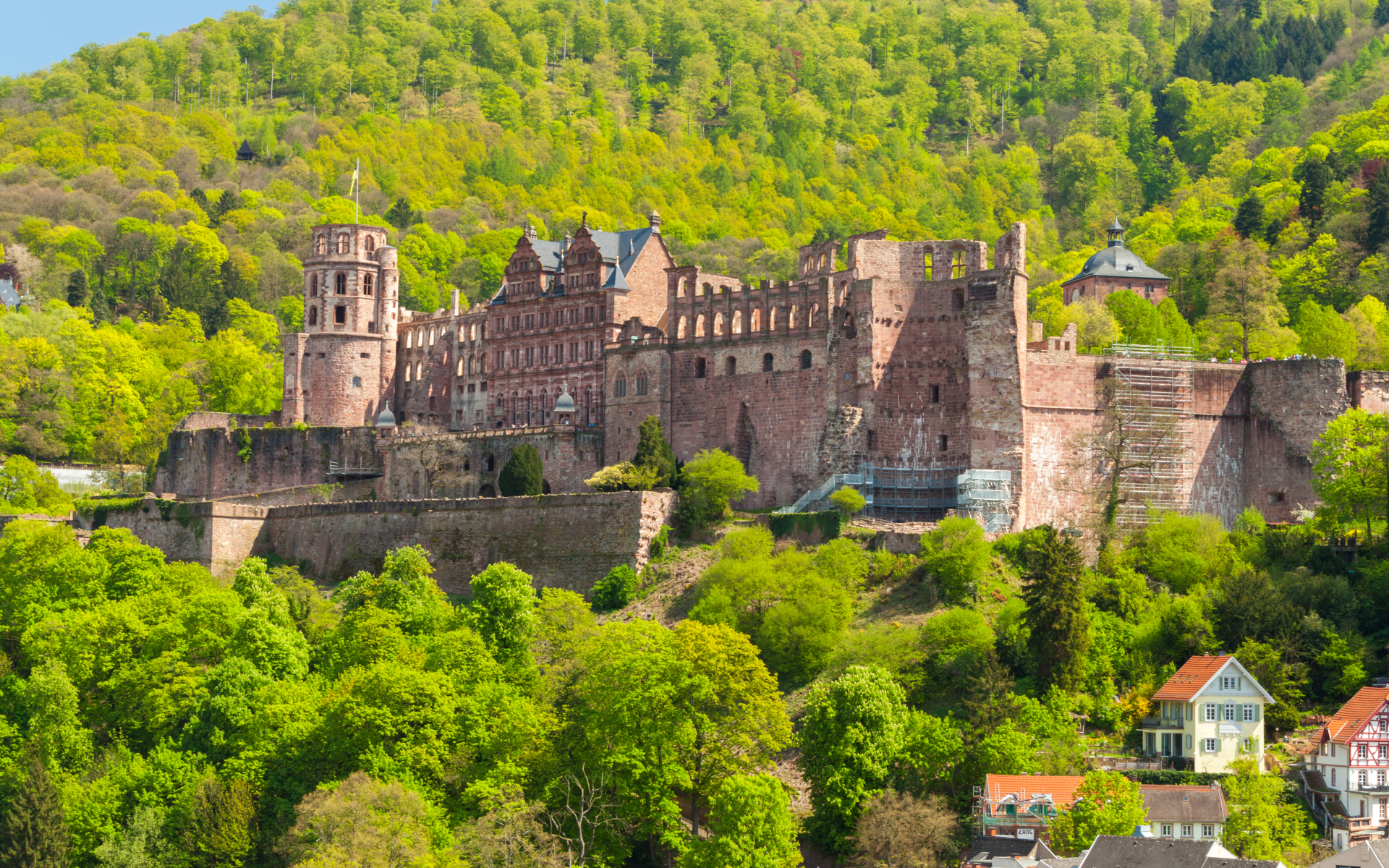 Rhine River Cruise in Tulip Season 2026