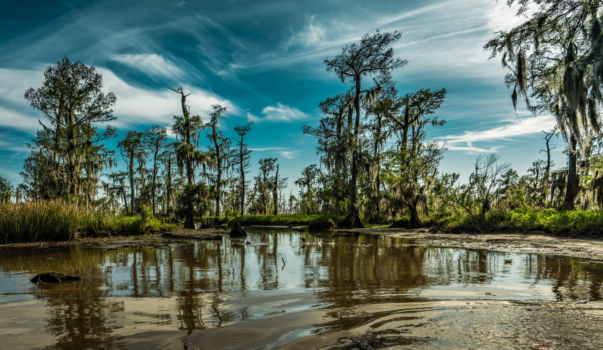 New Orleans & Western Caribbean Cruise