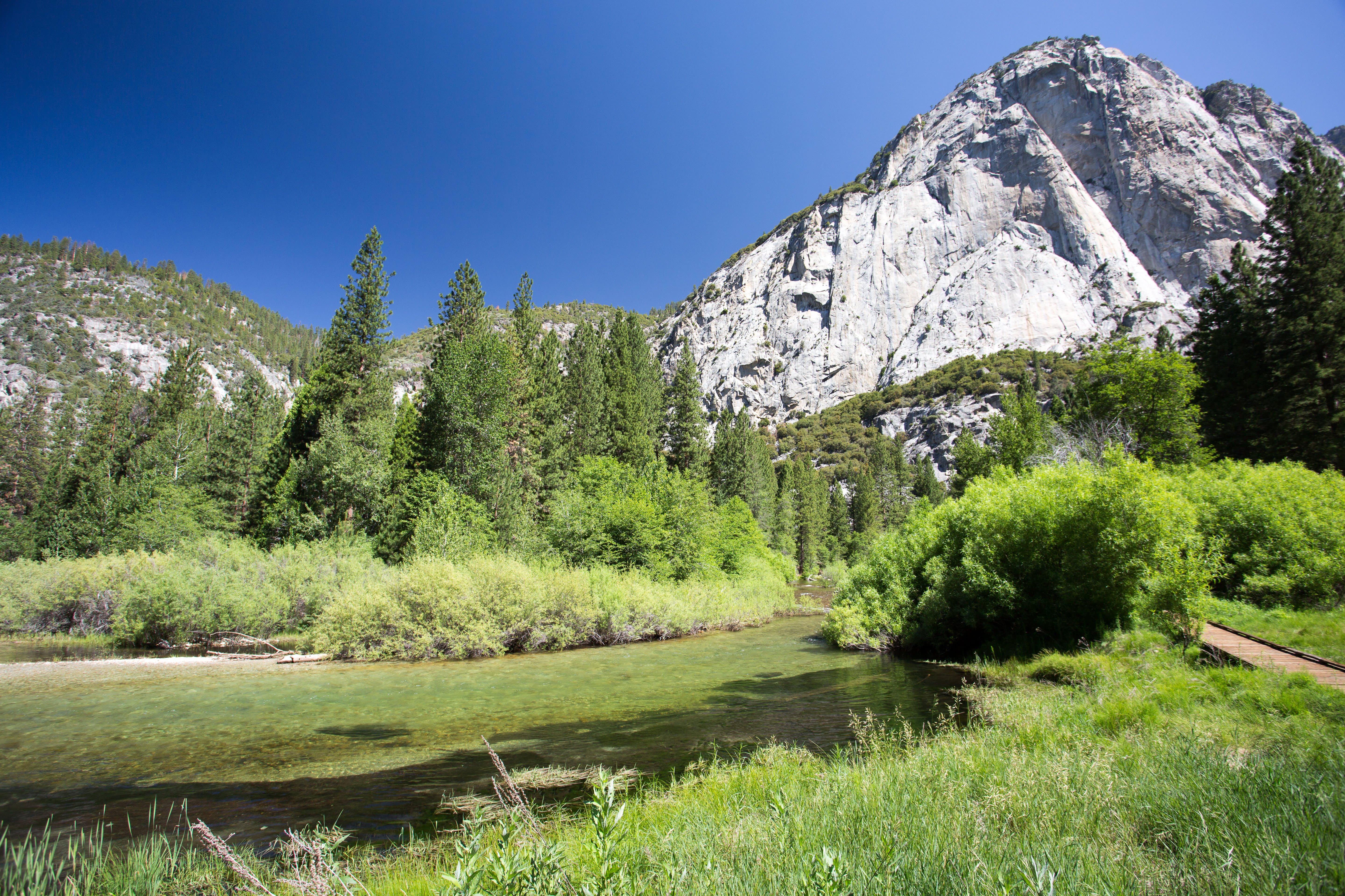 Ultimate Pacific Northwest & California Tour