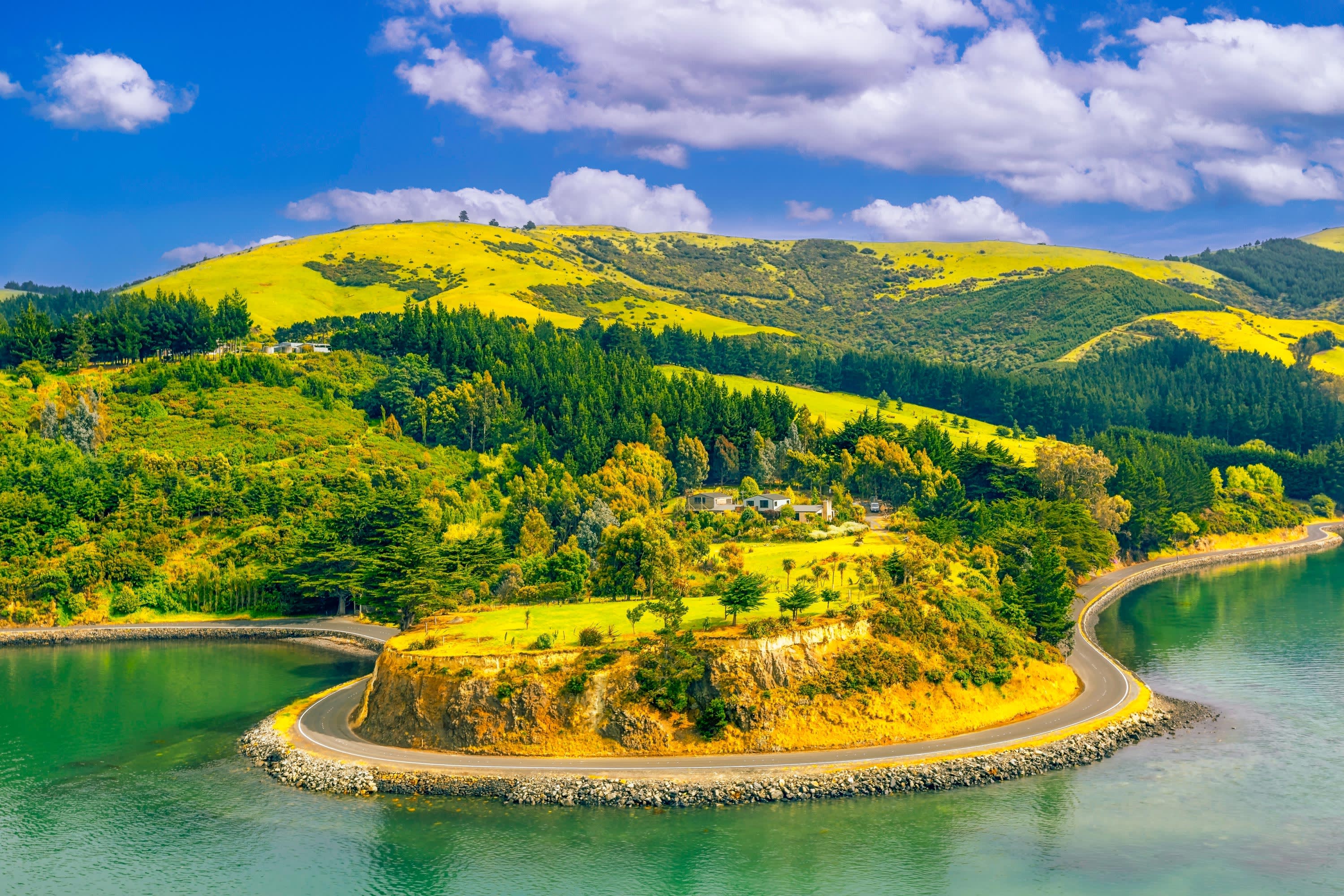 Highlights of Australia & New Zealand Cruise 2026