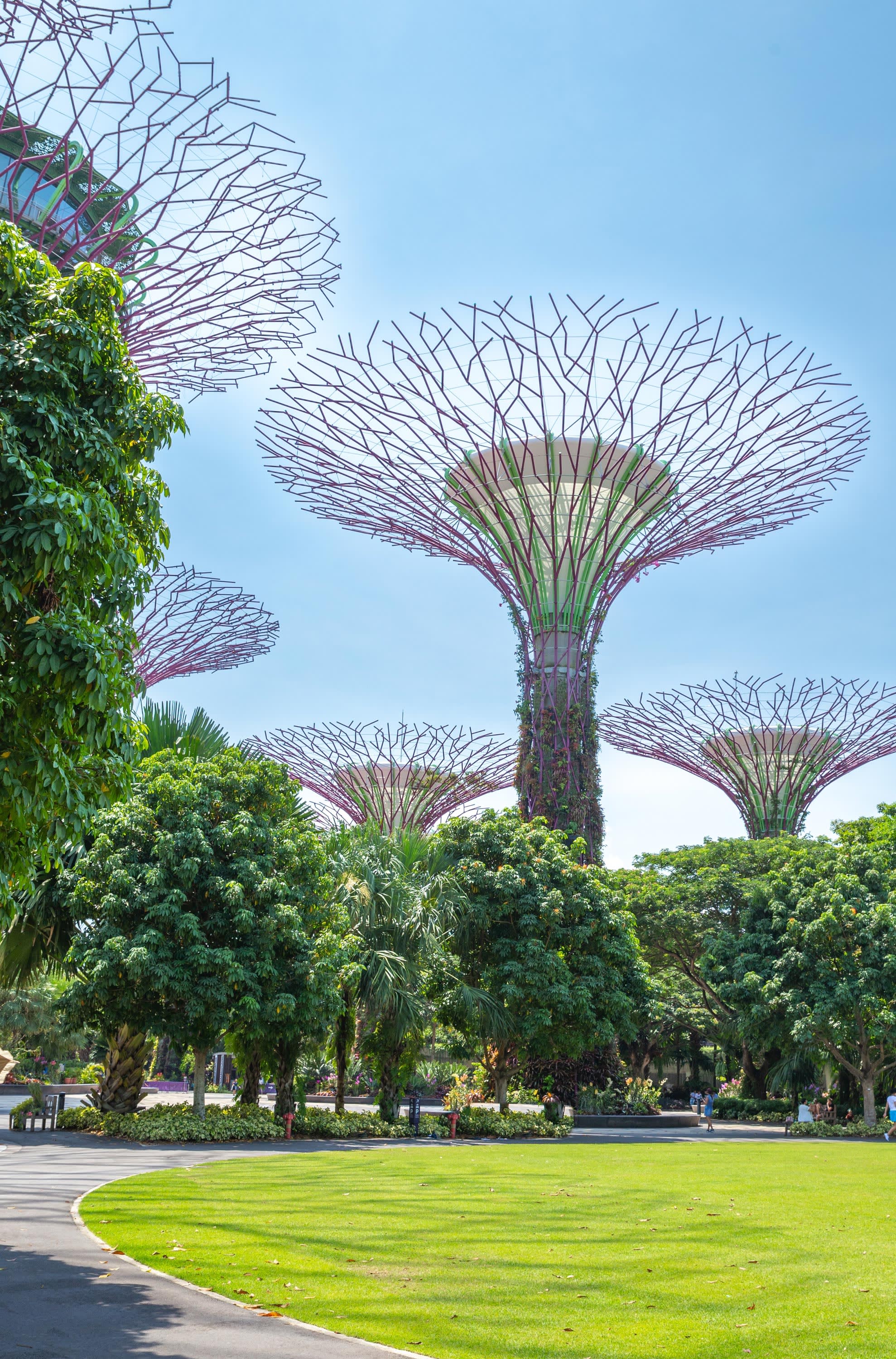 Singapore & Southeast Asia Cruise and Tour