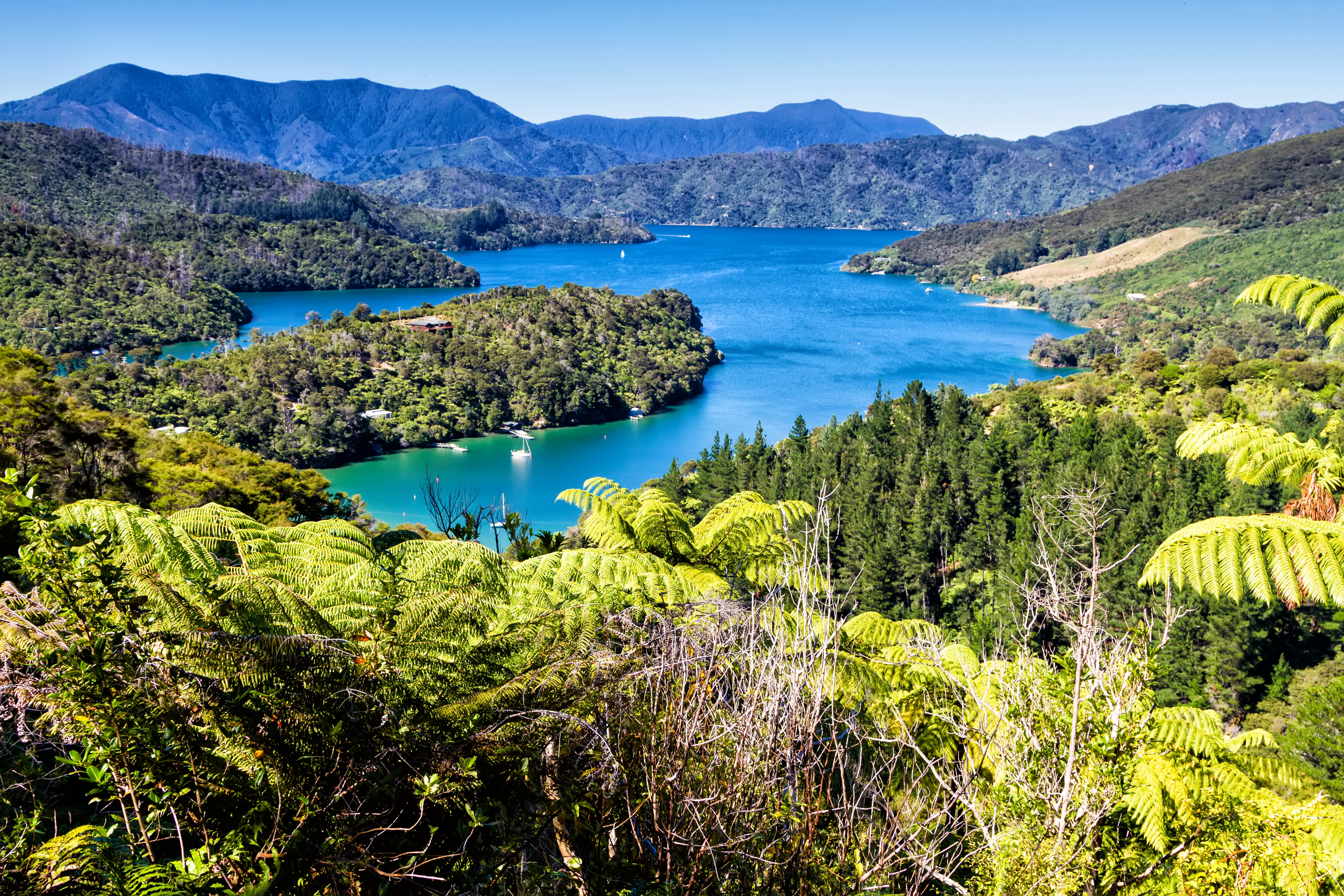 Highlights of Australia & New Zealand Cruise 2026