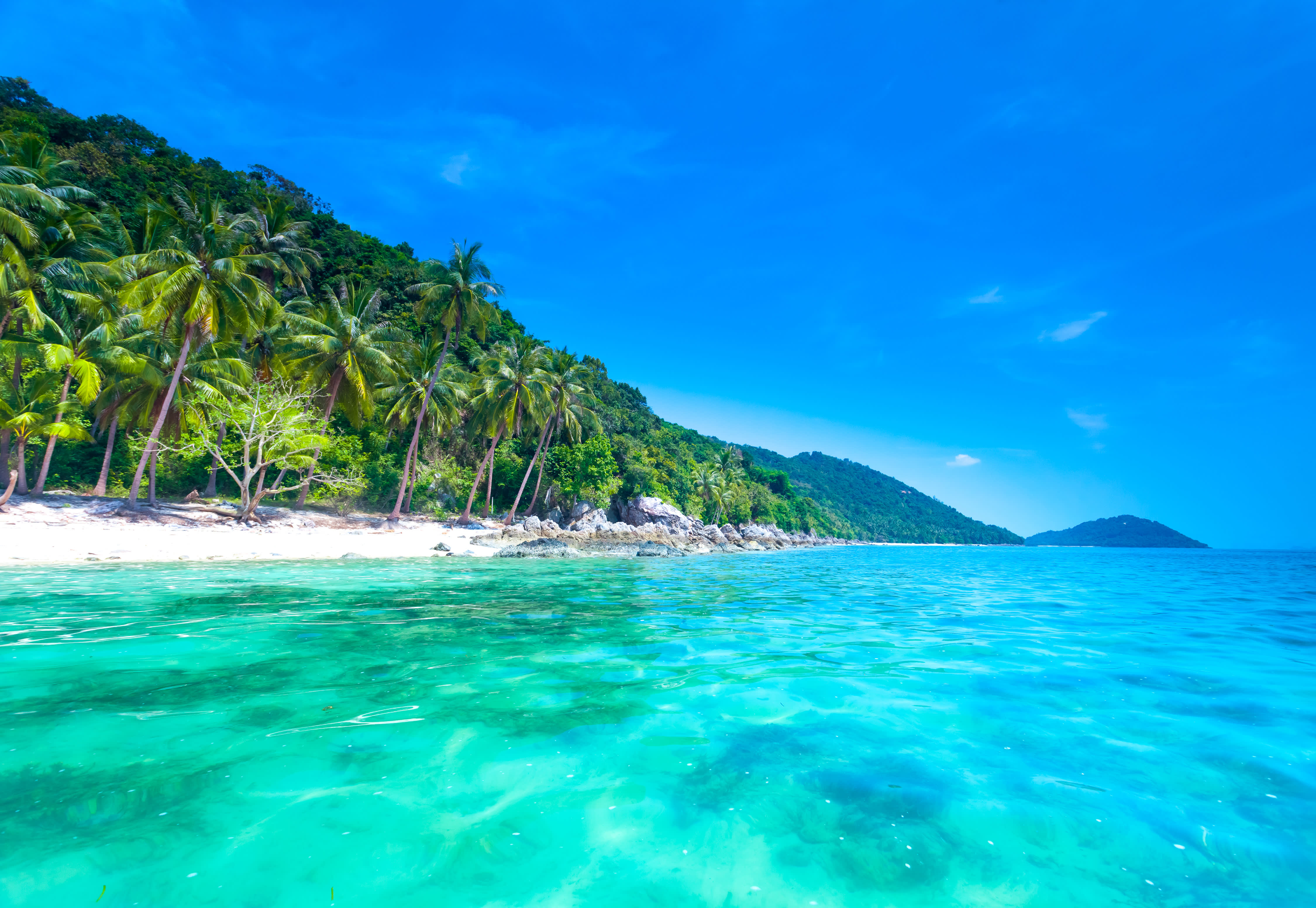 Singapore & Southeast Asia Cruise and Tour