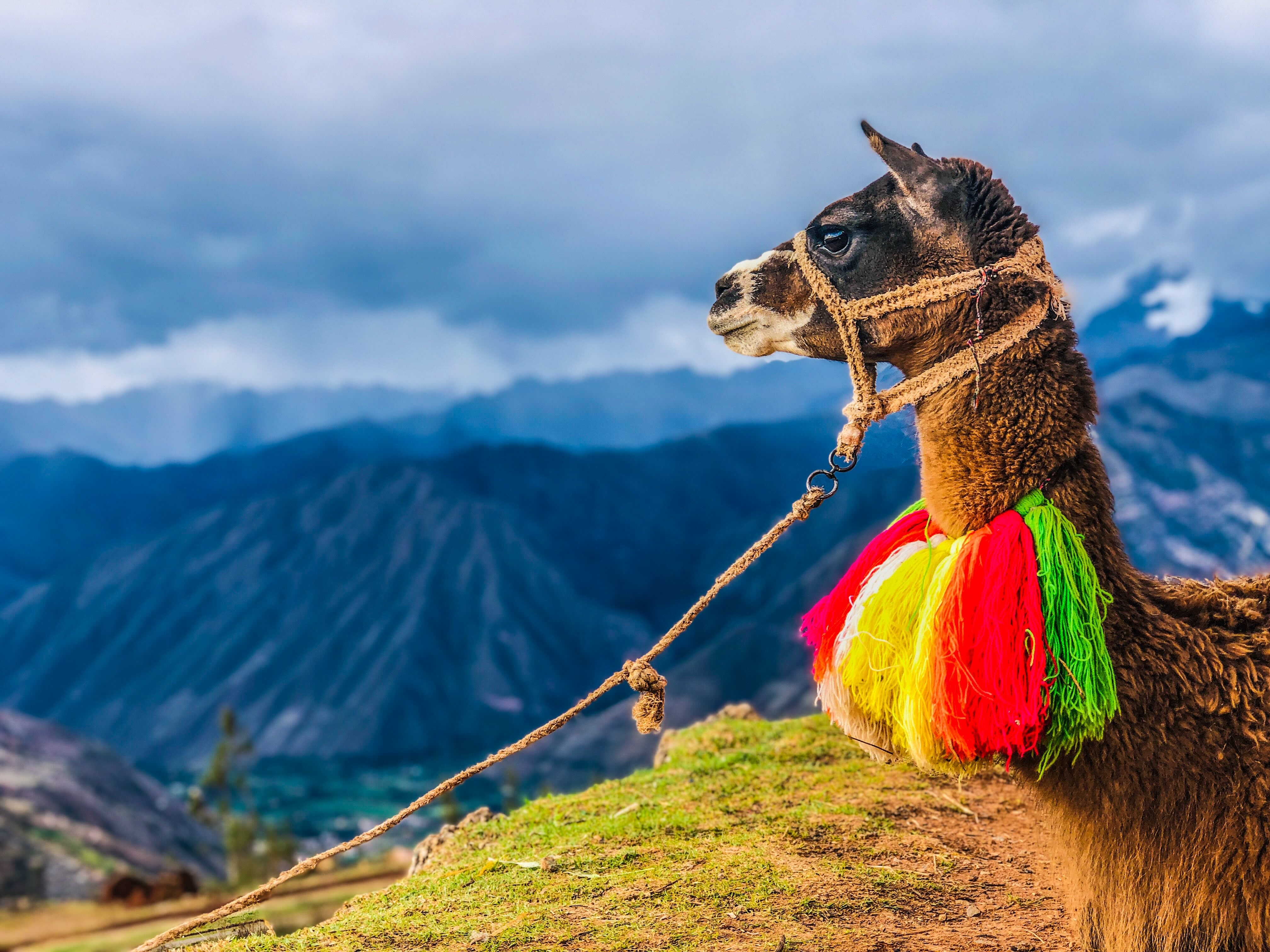 Highlights of Peru