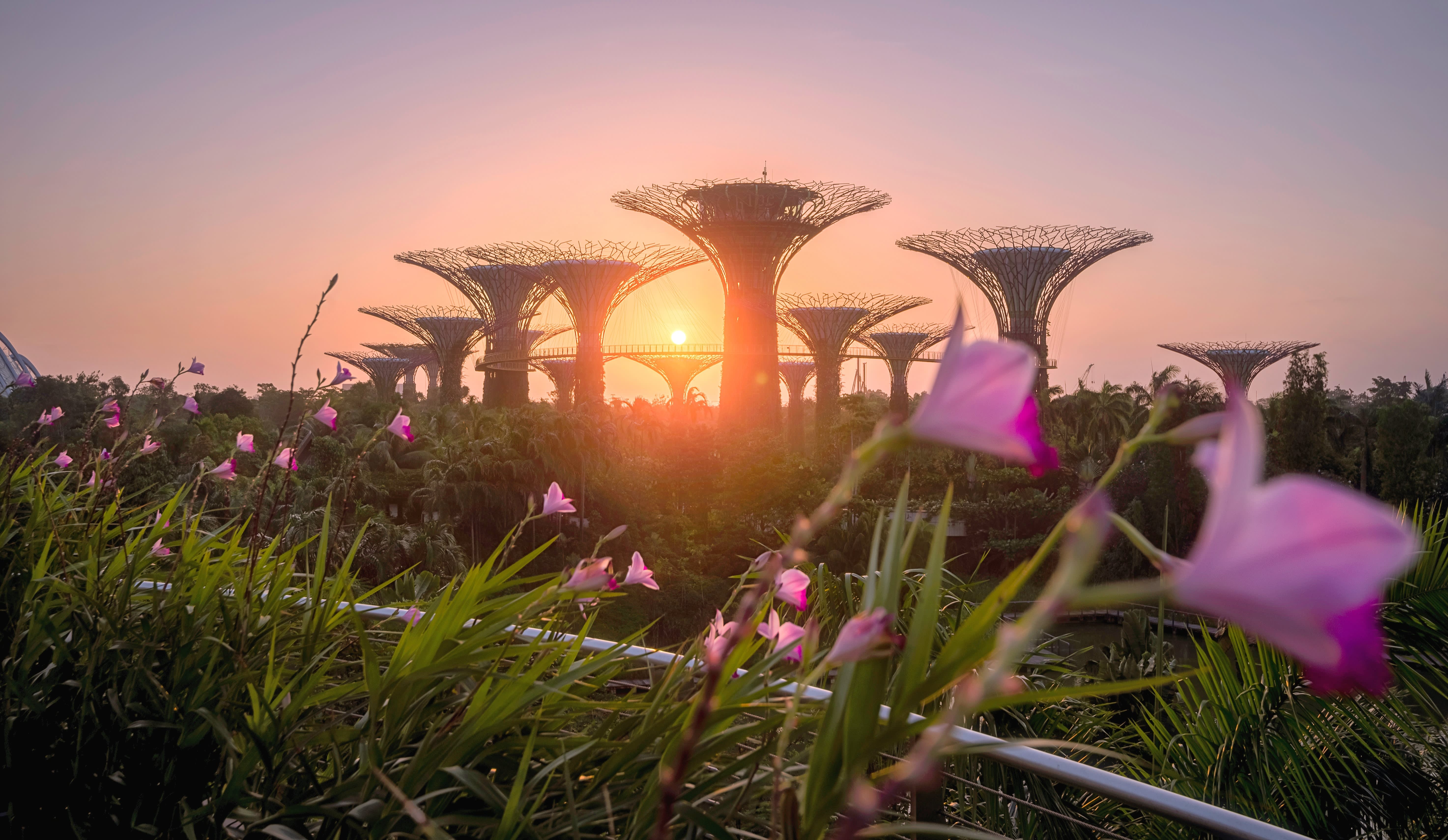 Singapore & Southeast Asia Cruise and Tour