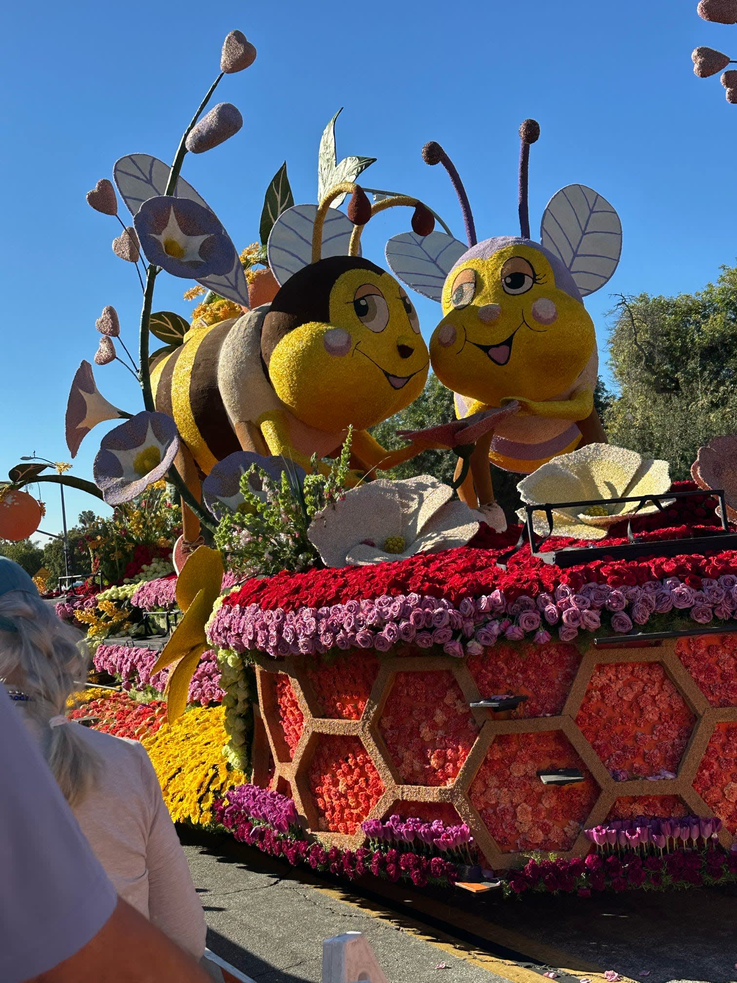 Rose Parade & Coastal California Tour – December 2025 Departure