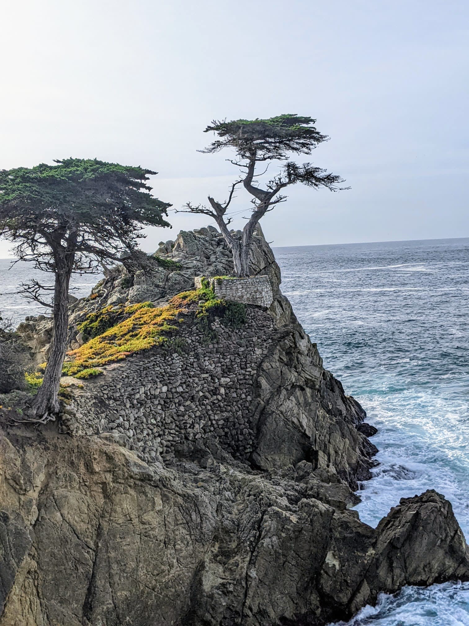 Rose Parade & Coastal California Tour – December 2025 Departure