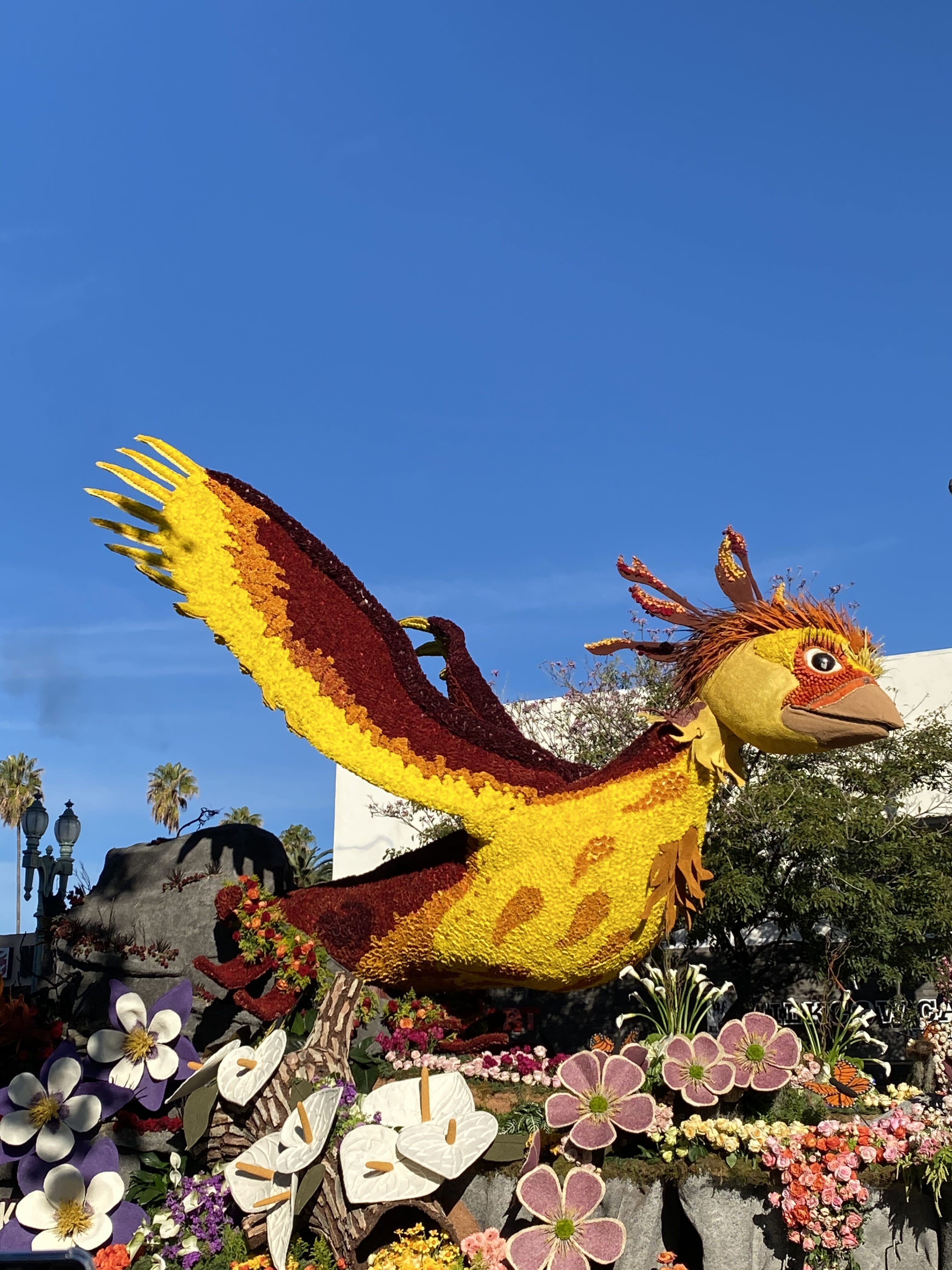 Rose Parade & Los Angeles Tour – December 2025 Departure