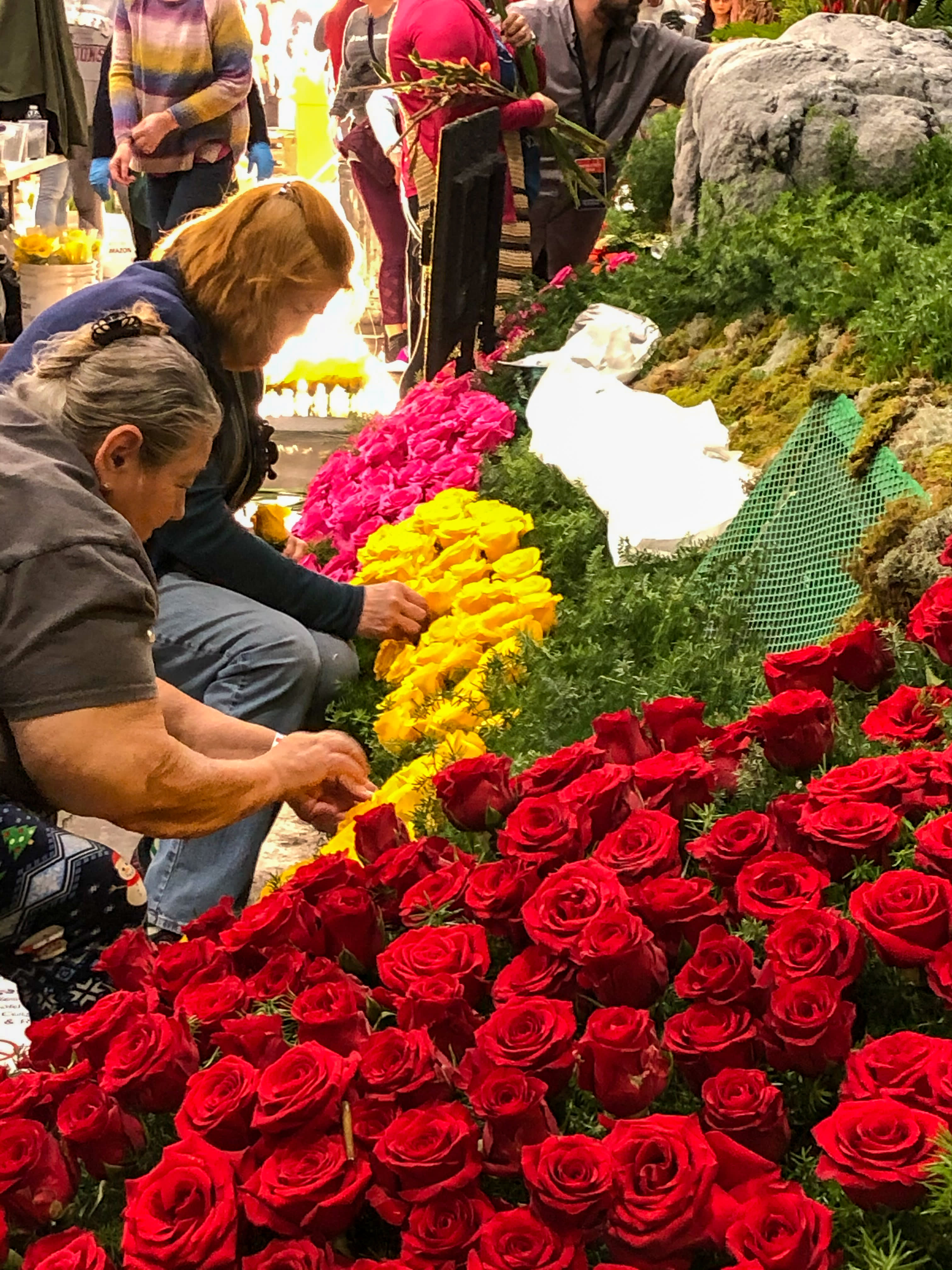 Rose Parade & Los Angeles Tour – December 2025 Departure
