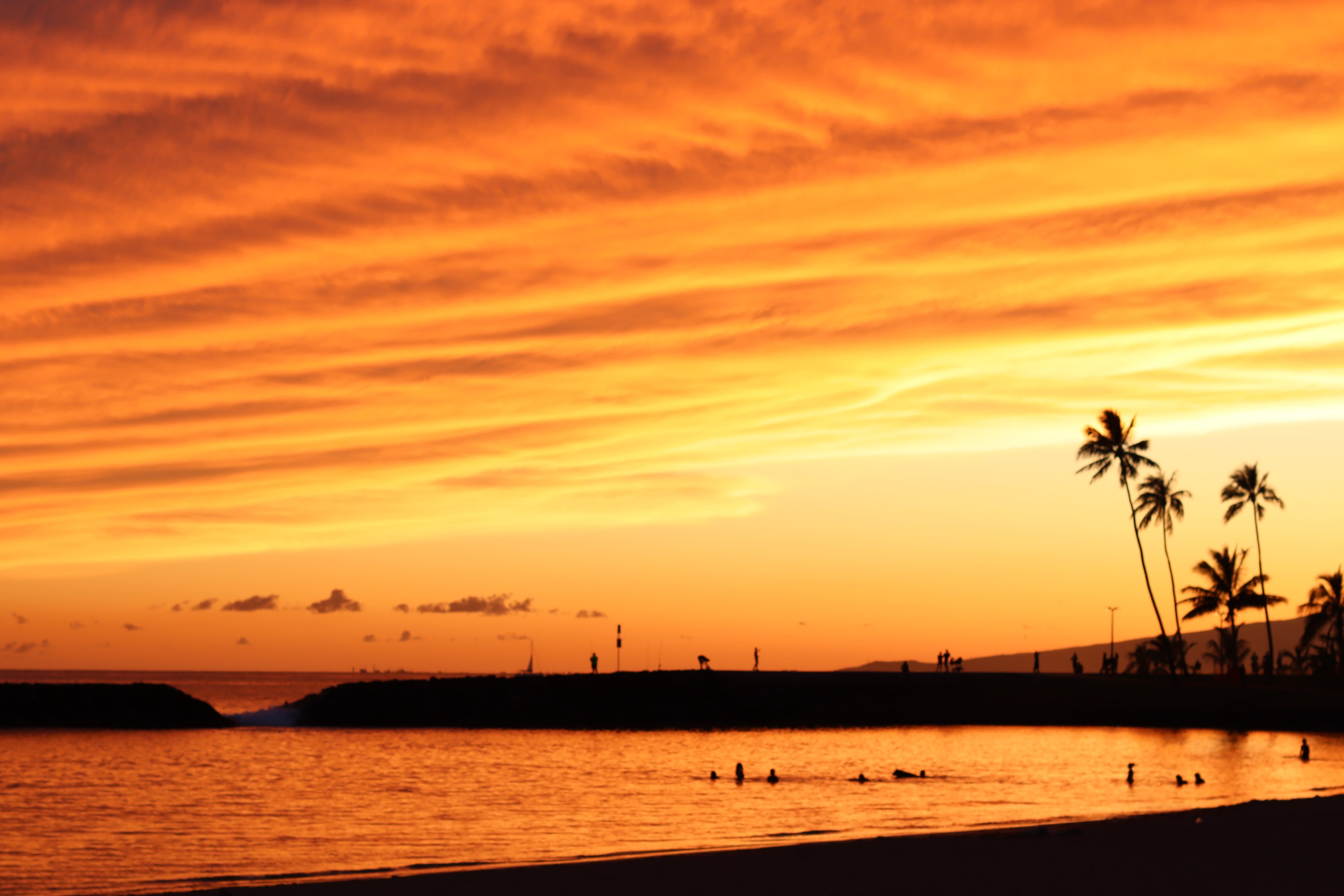 Best Of Hawaii Four Island Tour with Circle Island Tour