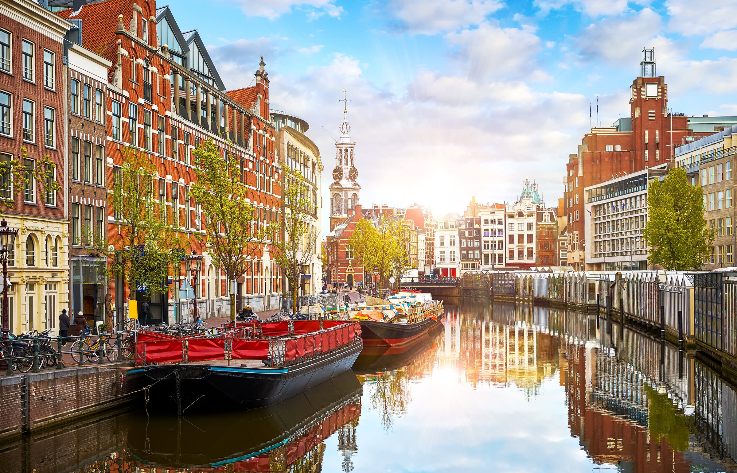 Rhine River Cruise in Tulip Season 2026