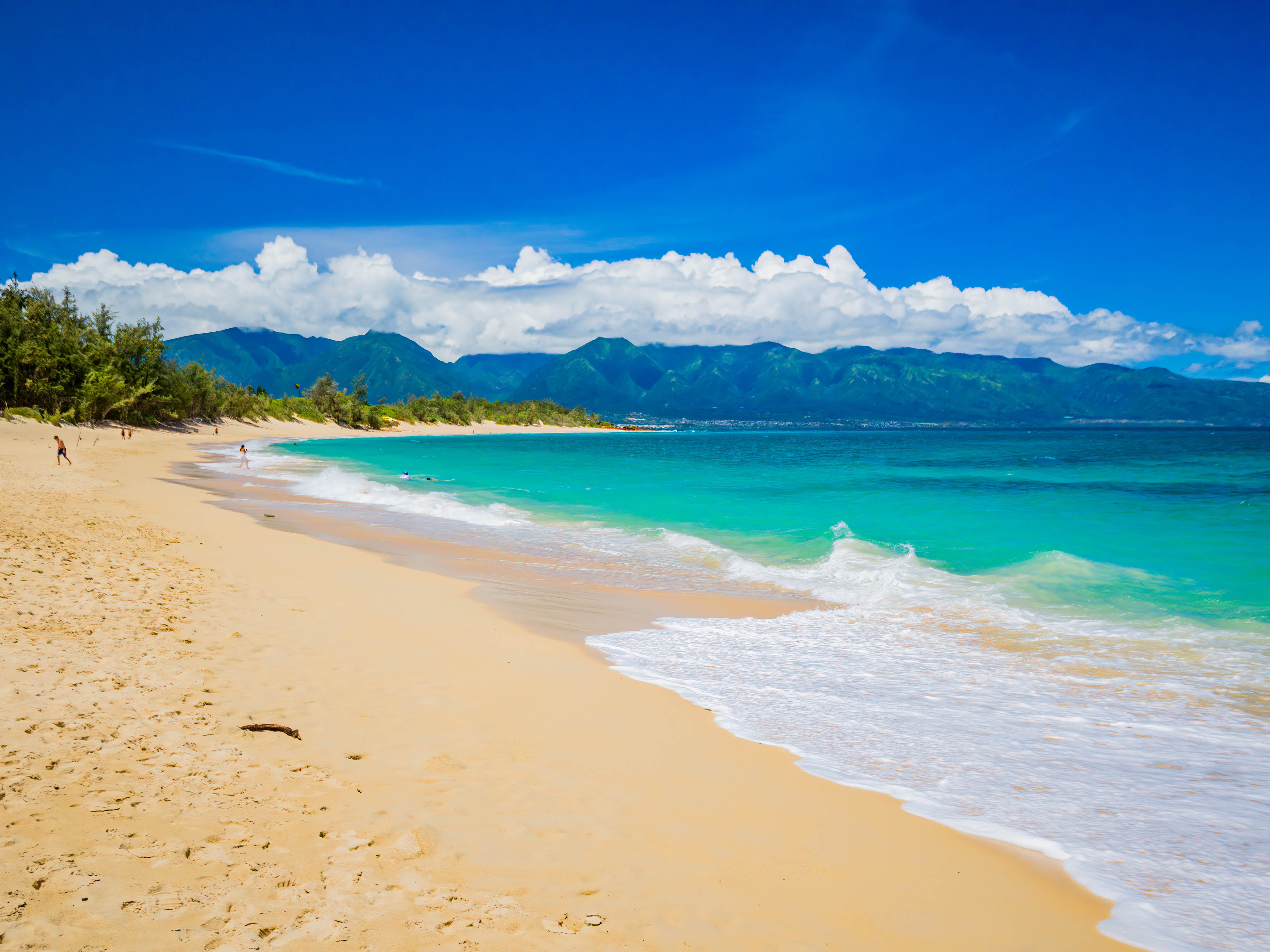 Hawaiian Getaway: Oahu & Maui