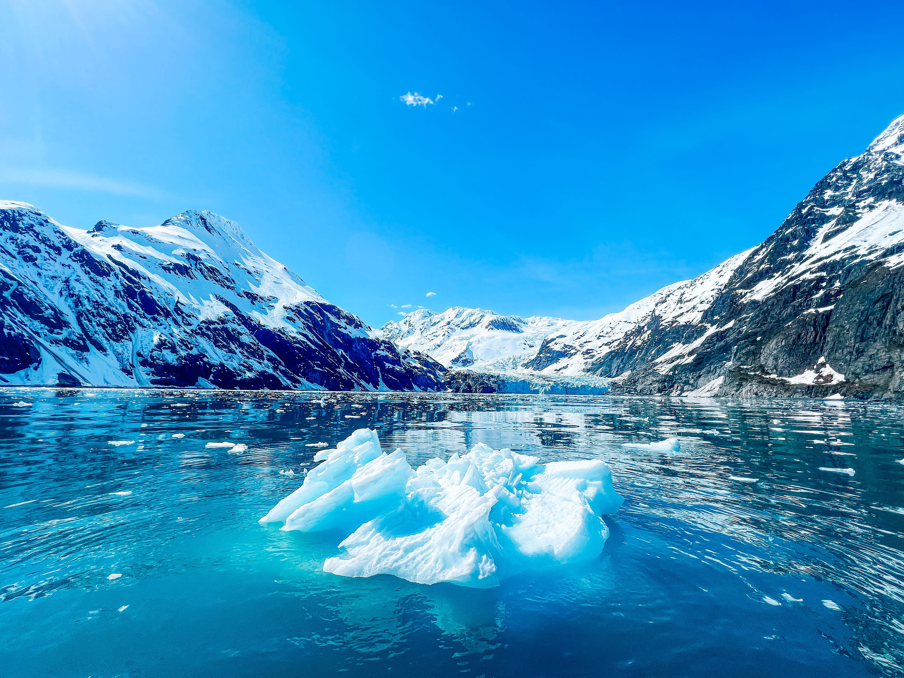Alaskan Wilderness Cruise: Glaciers, Fjords & Coastal Charm