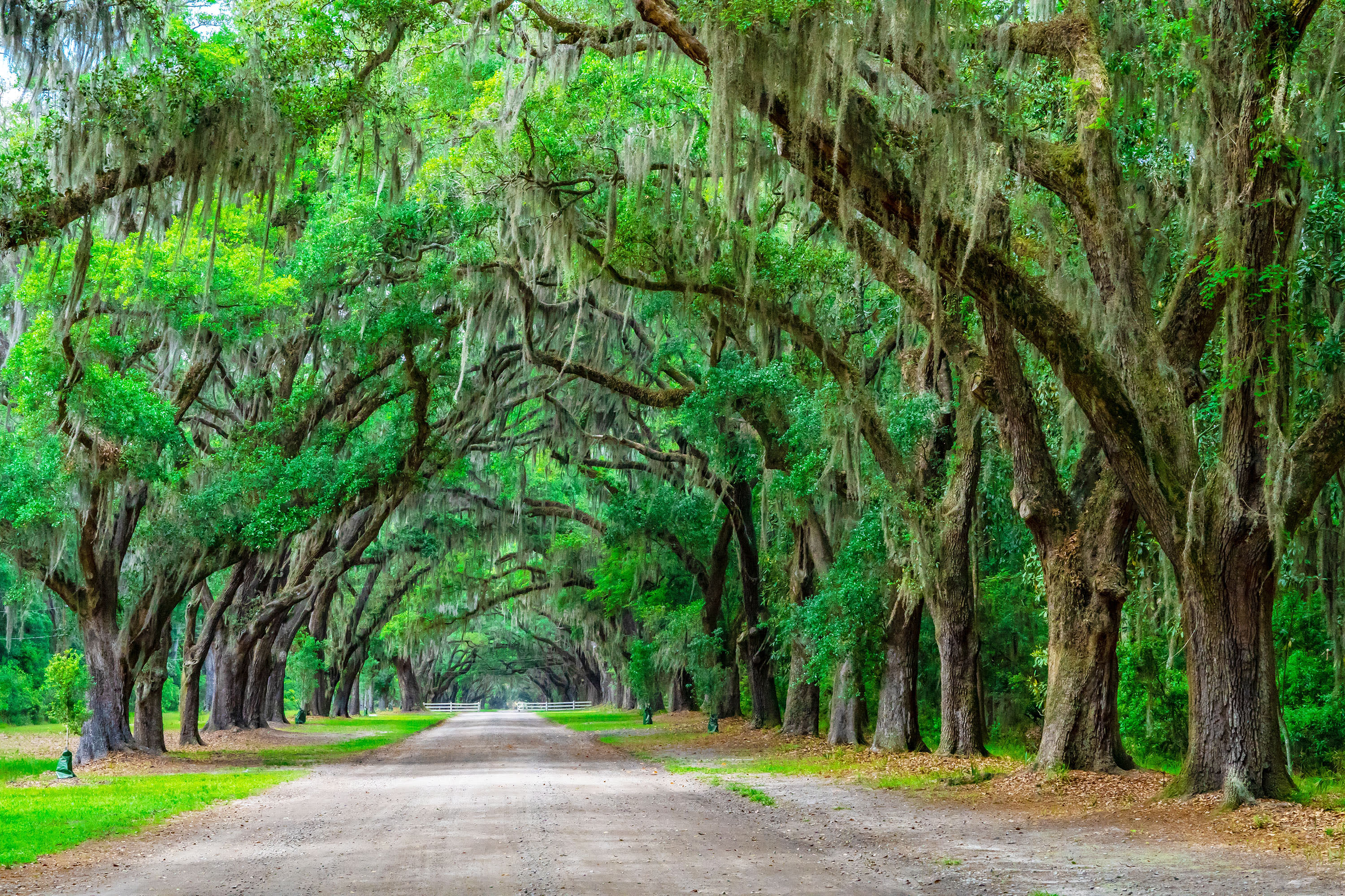 Historic Southern Coast