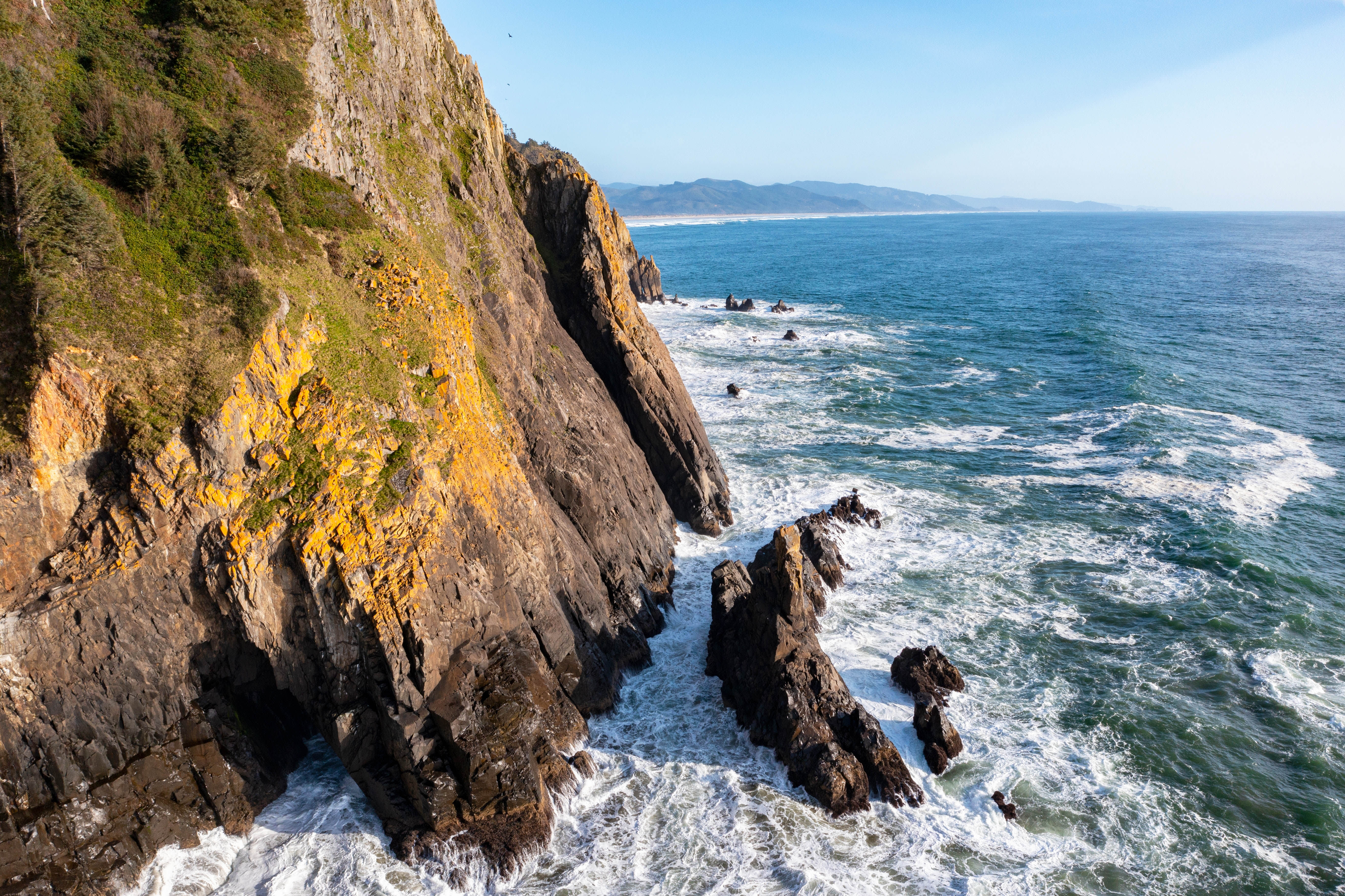 Pacific Coast Cruise & Tour