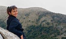 Signature Greece | Songs of the Lyre