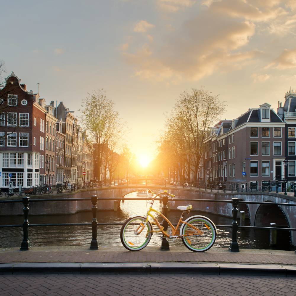 Custom FIT background