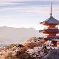 Enchanting Travels Asia Tours Sunset at Kiyomizu-dera Temple and cherry blossom season (Sakura) on spring time in Kyoto, Japan