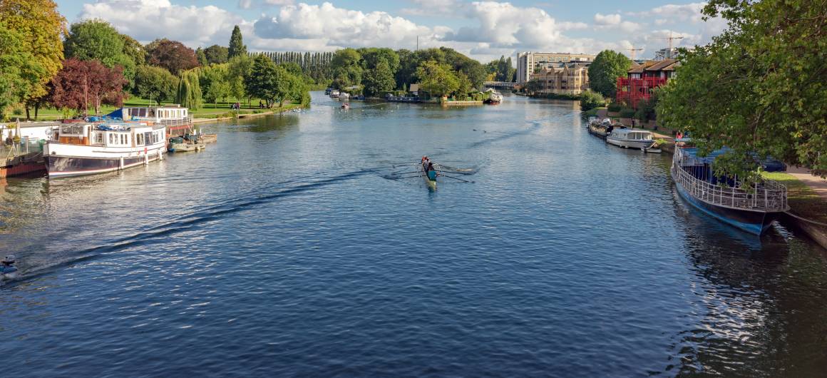 Avirons glissant le long de la Tamise, lieu prisé pour les sports nautiques en Angleterre.