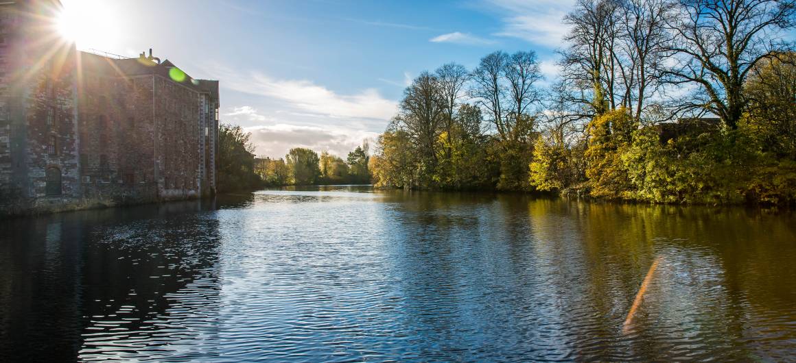 Lumière dorée filtrant à travers les arbres le long d’une rivière paisible en Irlande.
