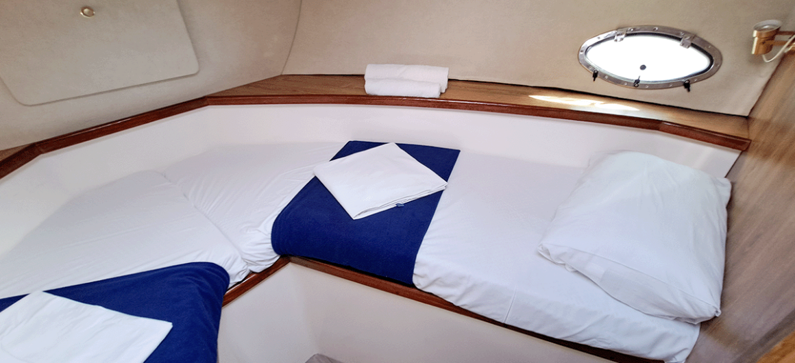 Countess front cabin