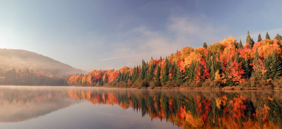 Reflection of autumn trees on a calm Ottawa lake.