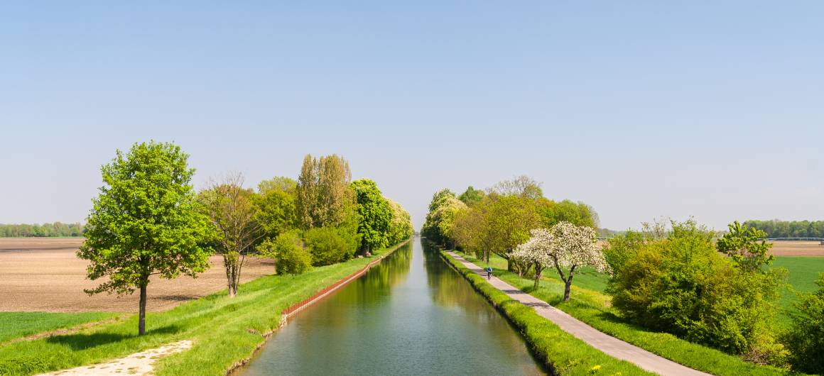 Straight canal bordered by green fields and blooming trees under a clear spring sky in rural Alsace.
