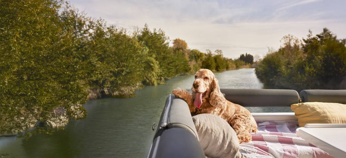 A happy cocker spaniel lies stretched out on a striped blanket, tongue out, enjoying the view from the back of the boat on a sunny afternoon.