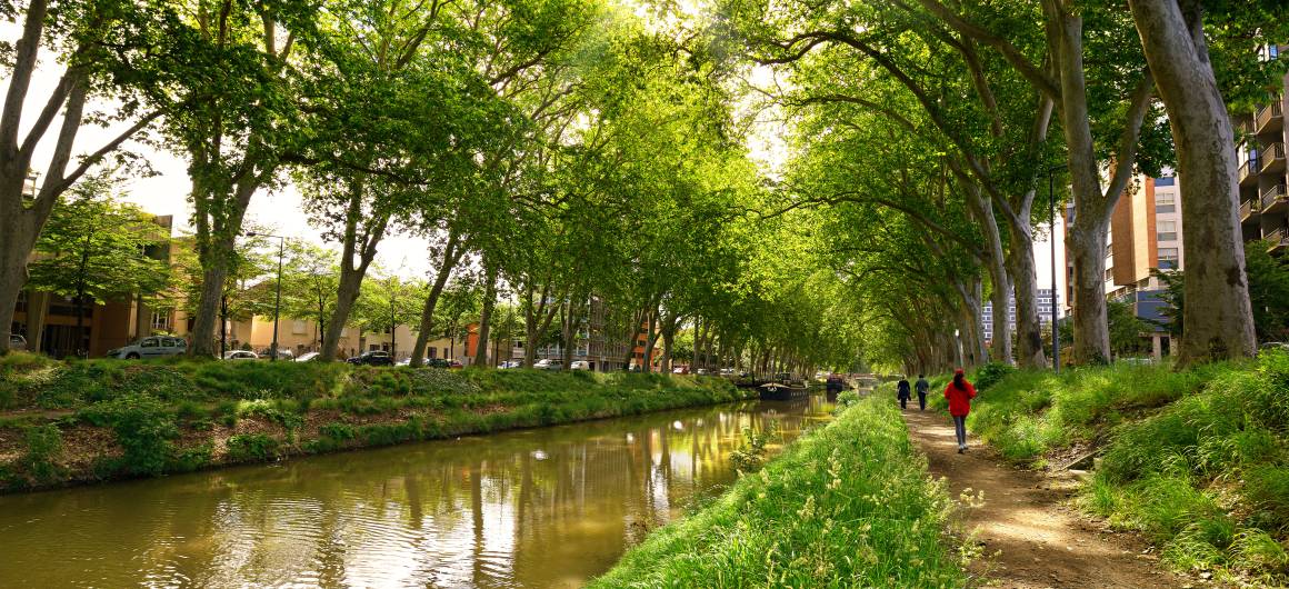 Canal bordé d’arbres avec sentier pédestre et bateaux au cœur de l’Aquitaine.