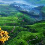 Photo of Robert S Cole