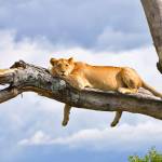 Photo of Humberto Tafolla Nuñez