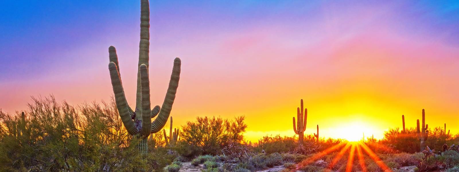 Sonoran Desert Sunset
