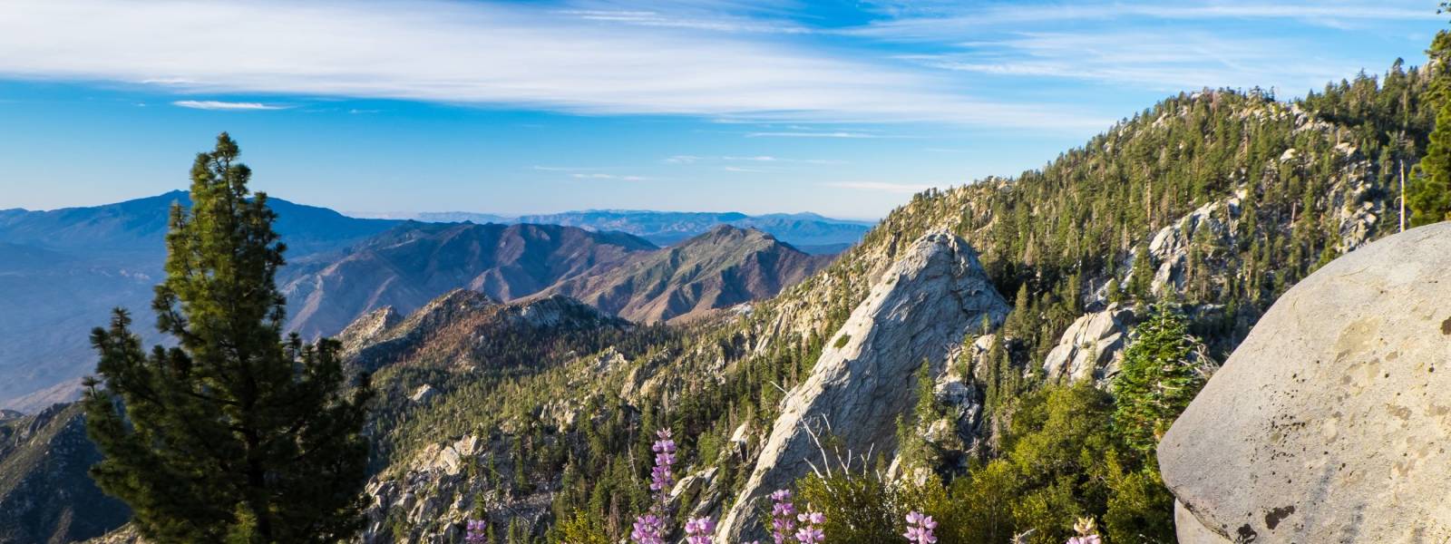 Palm Springs Aerial Tramway View Cr