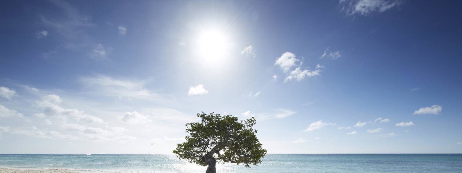 a man standing on top of a sandy beach