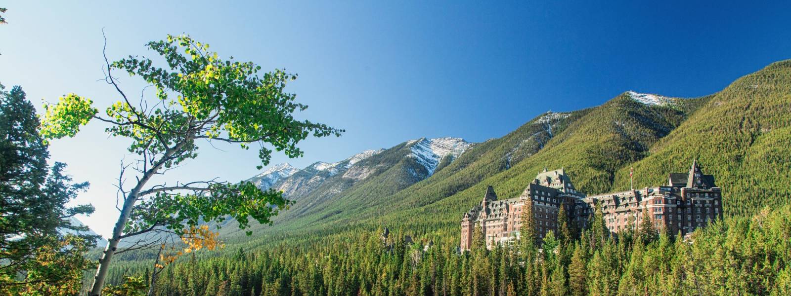 Fairmont Banff Springs Hotel Canada Hayes Jarvis Fairmont Banff Springs Hotel Canada Hayes Jarvis