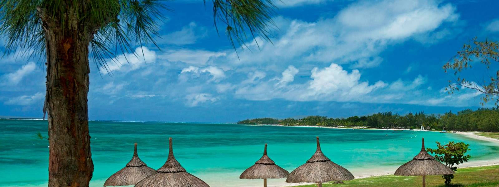 Beach View