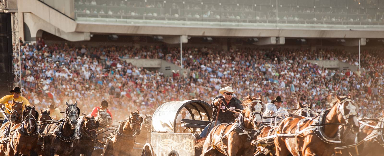 Canada - Alberta - Calgary - Stampede