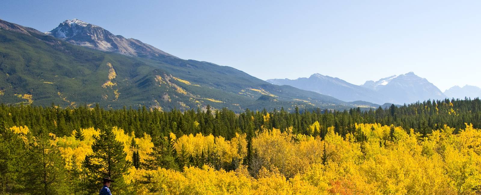 Canada - Jasper - Heste