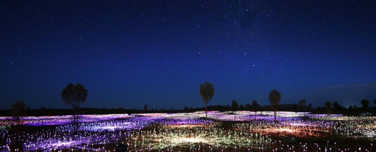 Field of Light Uluru - Landscape.jpeg