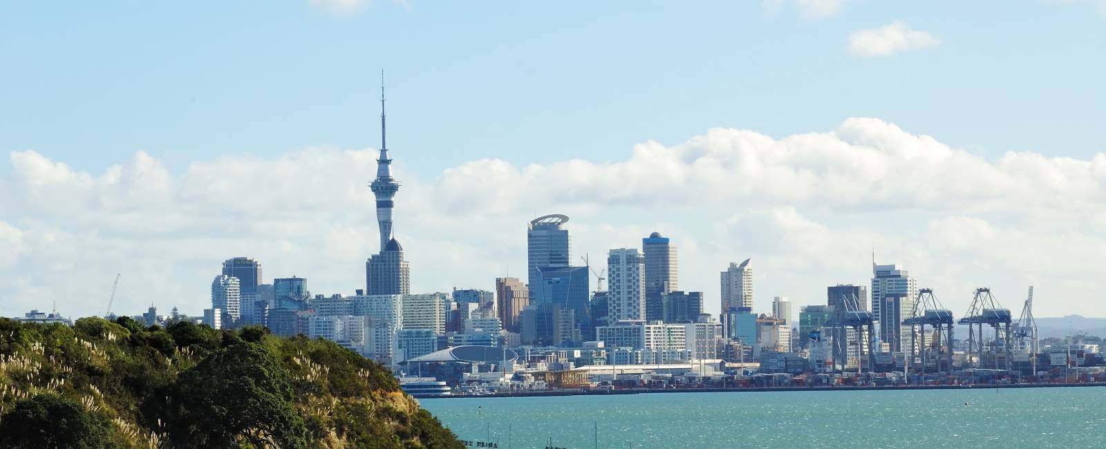 New Zealand - North Island - Auckland - Skyline