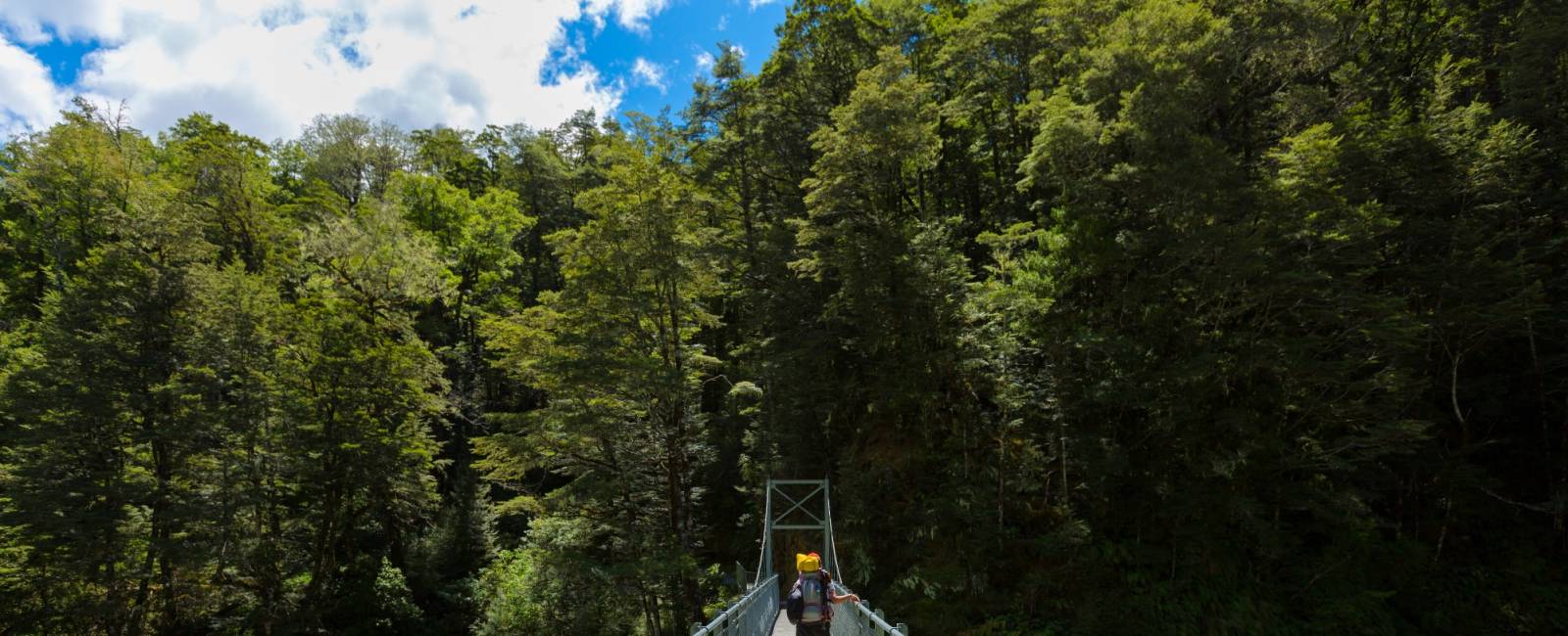 New Zealand - sydøen - routeburn track