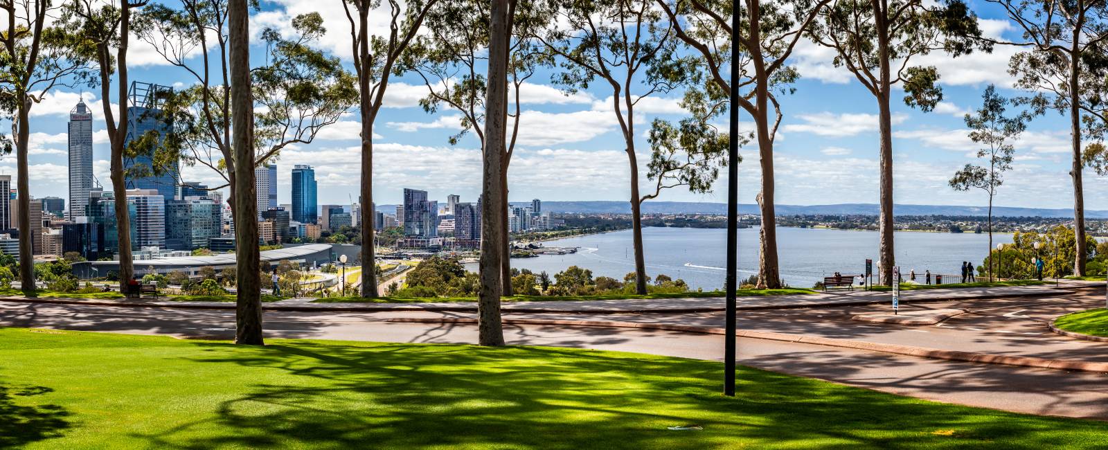 Panorama af citronduftende gummitræer og Perth Central Business District fra Kings Park, Perth, Australien