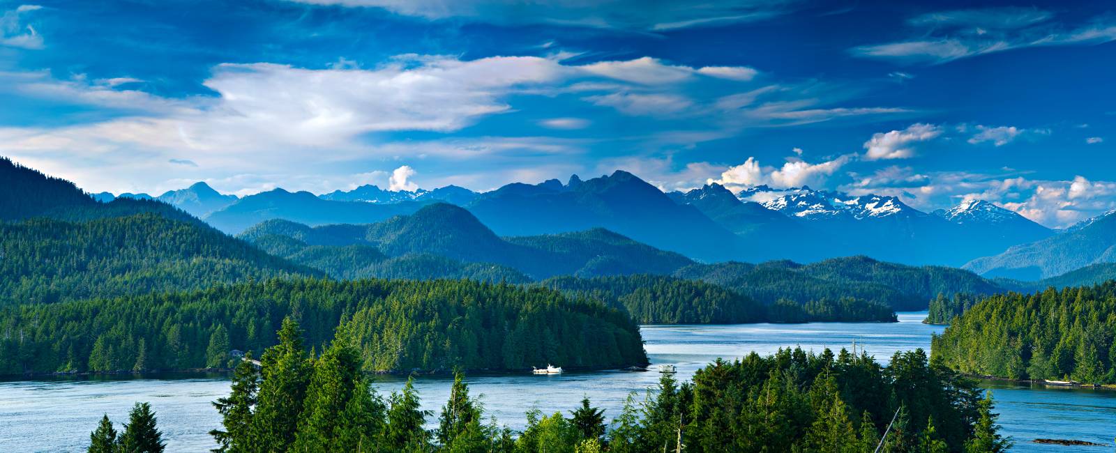 Panoramaudsigt over Tofino, Vancouver Island, Vestlige Canada